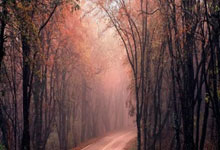 [英超]利物浦高歌猛进迎大胜 切尔西破门乏术遭逼平.